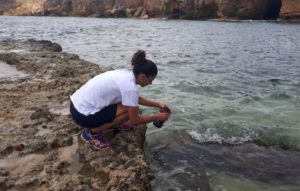 alga tossica sicilia