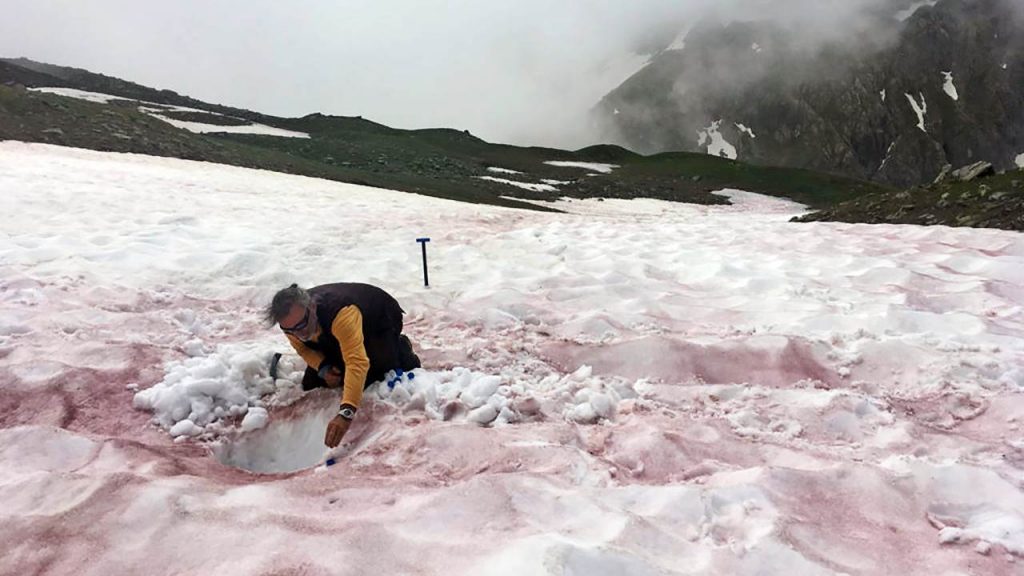 alpi neve rossa