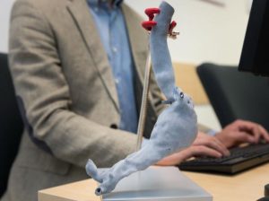 aorta 3d