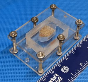 fegato stampa 3d