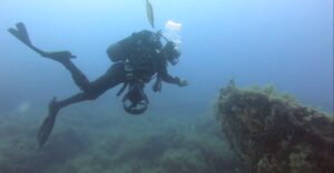guardia costiera mare pulito