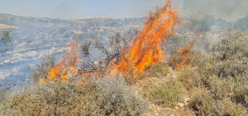 incendi israele gerusalemme