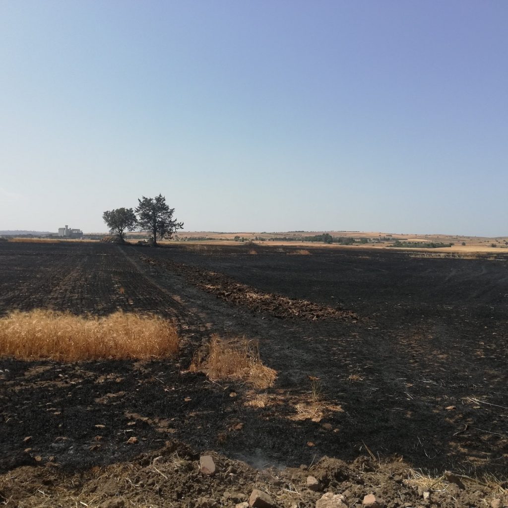 incendio Santeramo in Colle