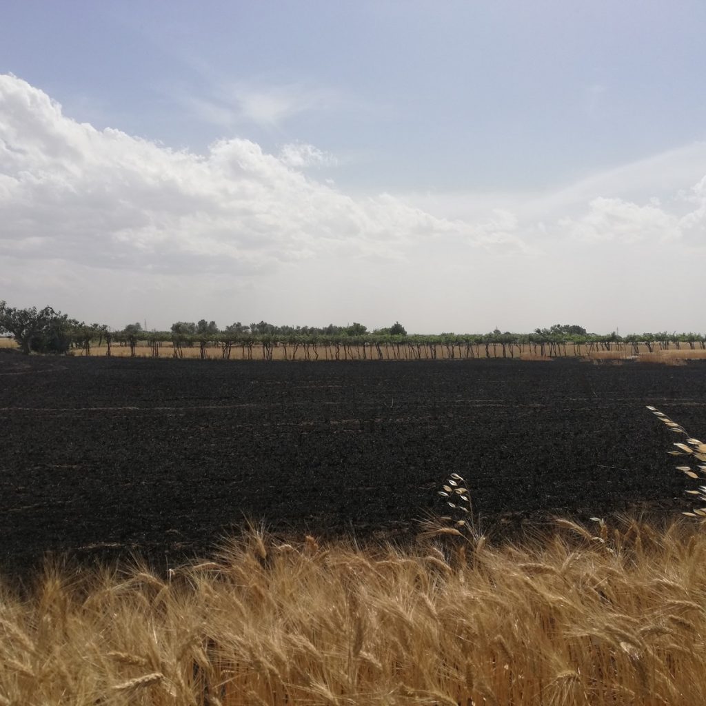 incendio Santeramo in Colle
