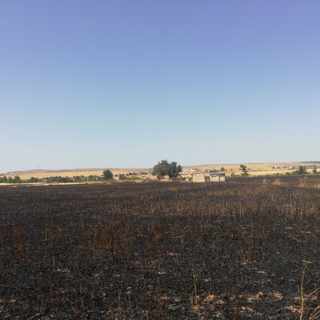 incendio Santeramo in Colle