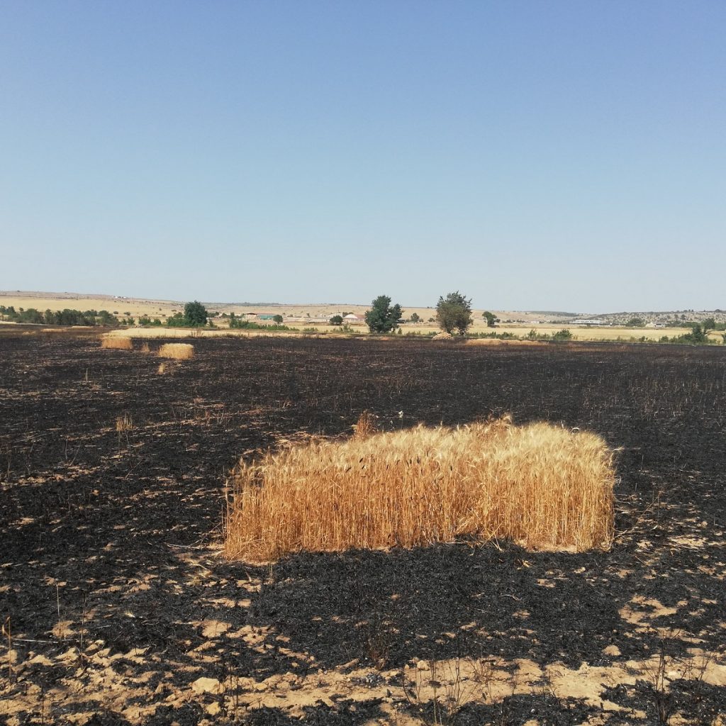 incendio Santeramo in Colle