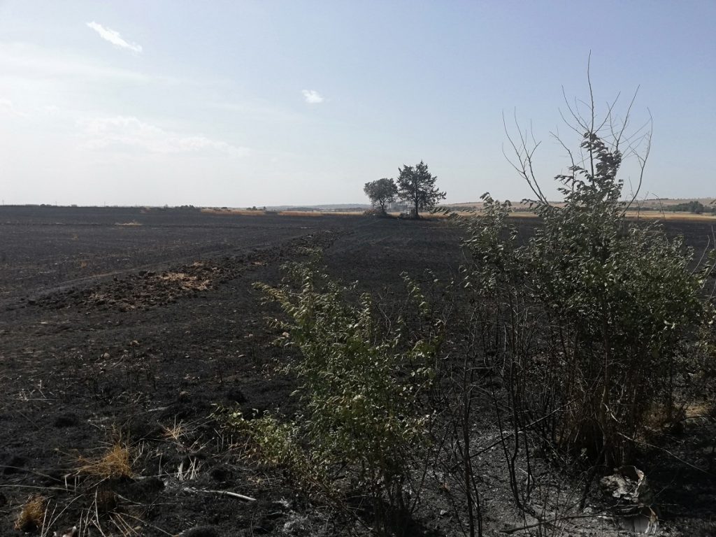 incendio Santeramo in Colle