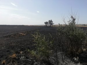 incendio Santeramo in Colle