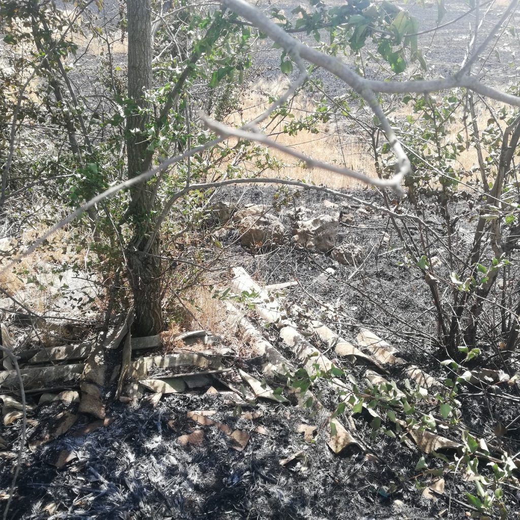 incendio Santeramo in Colle