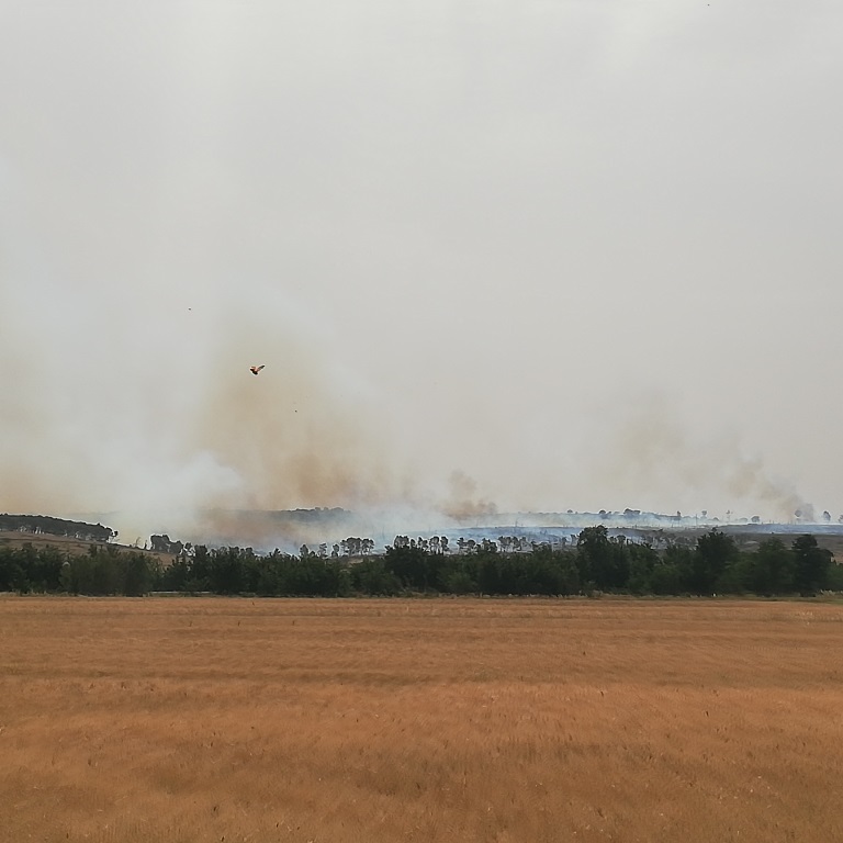 incendio gioia del colle laterza