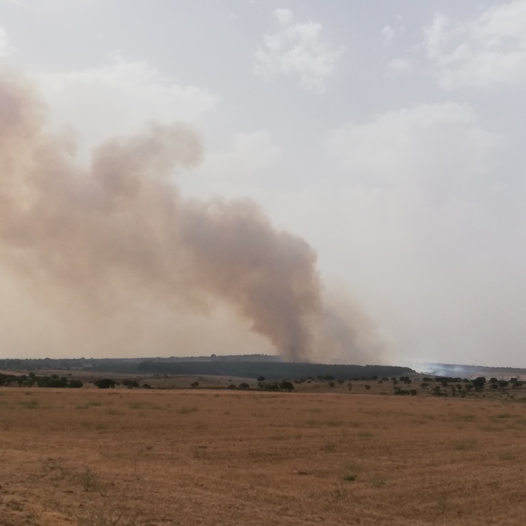 incendio gioia del colle laterza