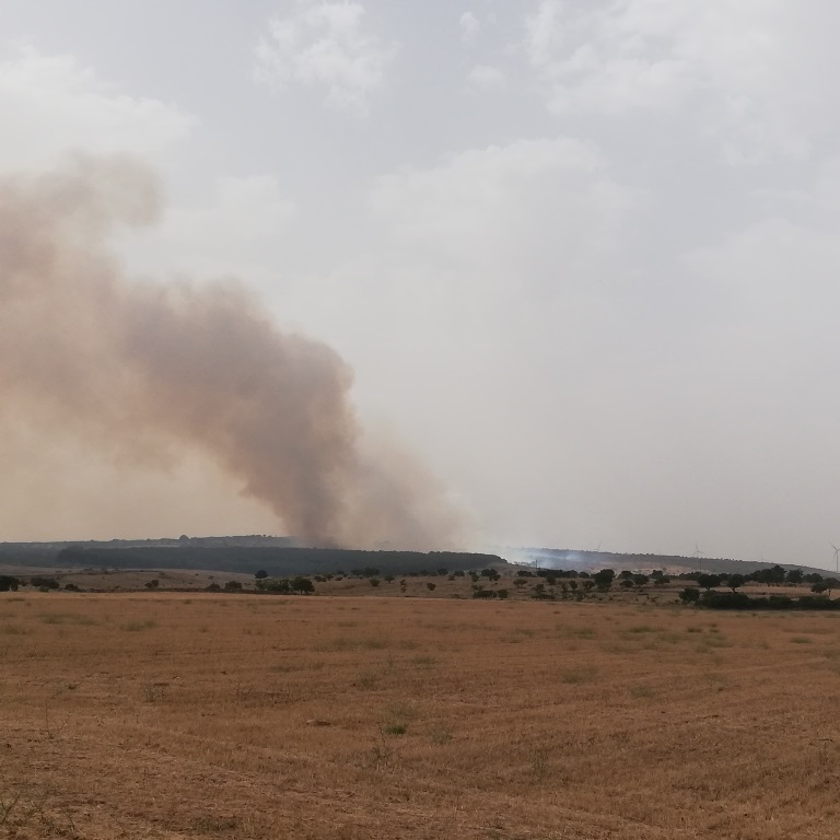 incendio gioia del colle laterza