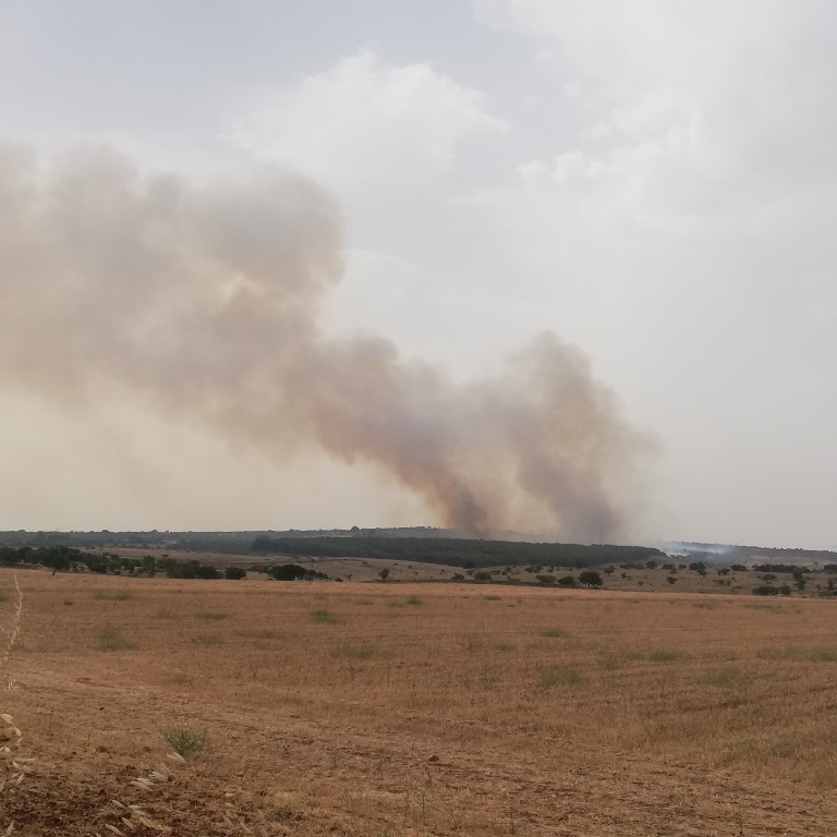 incendio gioia del colle laterza