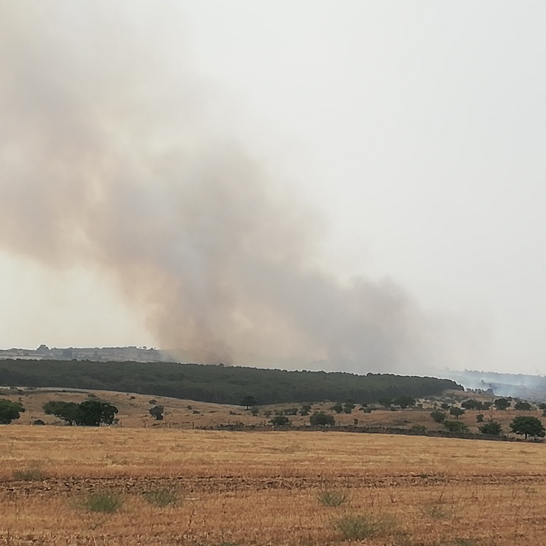 incendio gioia del colle laterza