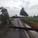 Piemonte piegato dal maltempo: tromba d’aria nel torinese, alberi caduti e strade bloccate nel novarese [FOTO & VIDEO]