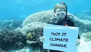 sbiancamento barriera corallina