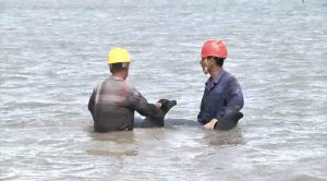 balene zhejiang