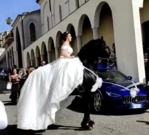 cavallo palmi