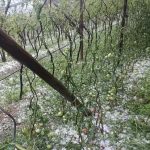 Maltempo, forti temporali e grandinate tra Veneto e Alto Adige [FOTO & VIDEO]