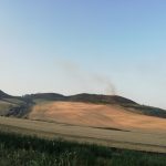 Incendi in Puglia, l’Alta Murgia devastata: in fiamme le colline ricoperte da macchia mediterranea [FOTO]