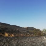 Incendi in Puglia, l’Alta Murgia devastata: in fiamme le colline ricoperte da macchia mediterranea [FOTO]