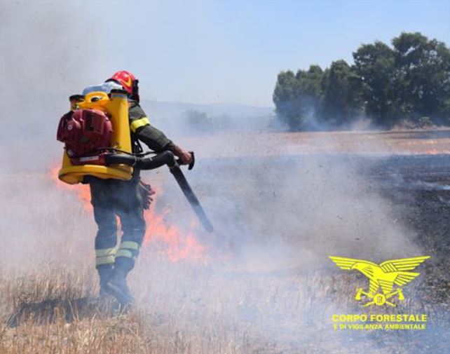 incendi sardegna