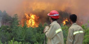 incendi turchia