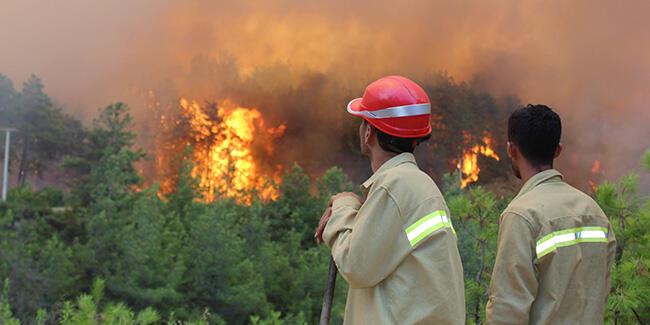 incendi turchia