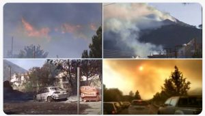 incendio cipro