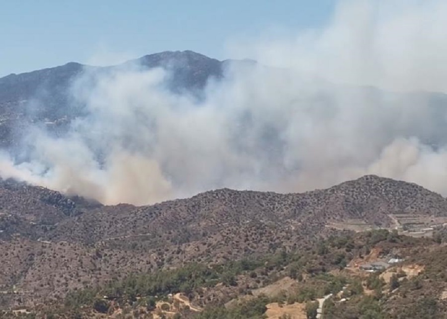 incendio cipro