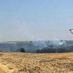 Vasto incendio nei campi della Murgia barese: a rischio area di 50 ettari a Gravina in Puglia – FOTO