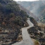 Incendio a Reggio Calabria, l’inferno di fuoco sulle colline della città: è bruciato anche il letto del torrente – FOTO
