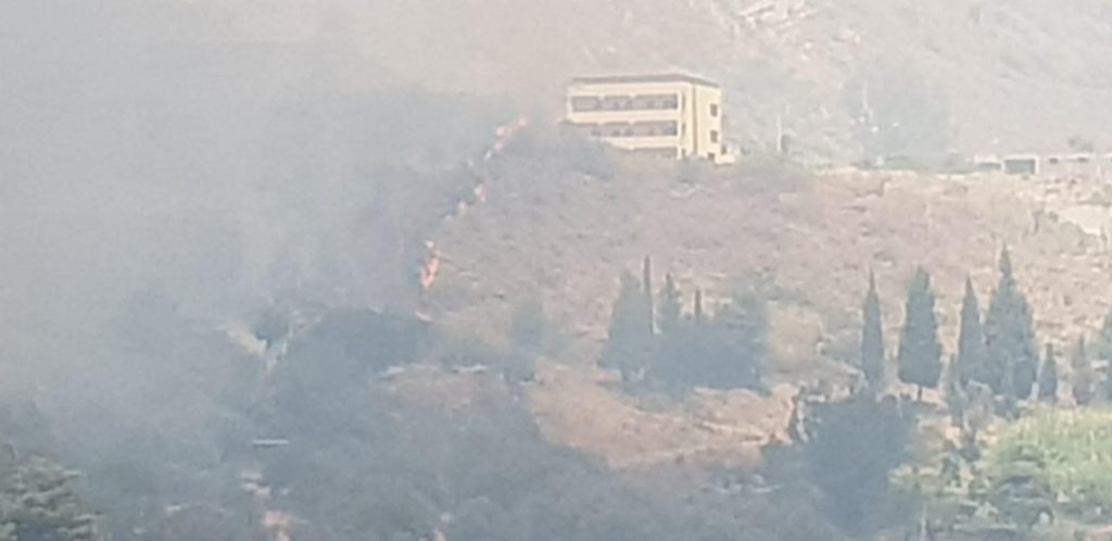 incendio reggio calabria pentimele