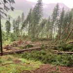 Maltempo, nubifragio e allagamenti a Bolzano: forte downburst nell’Alto Garda, tetti divelti e alberi spezzati – FOTO e VIDEO