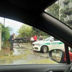 Maltempo in Lombardia, devastante grandinata a Rozzano: parabrezza delle auto in frantumi e alberi abbattuti [FOTO e VIDEO]