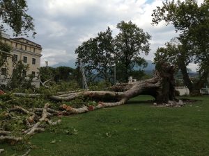 maltempo trentino