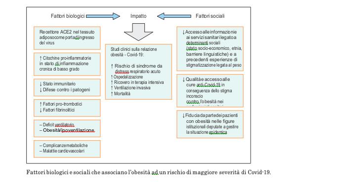 obesita rapporto auxologico