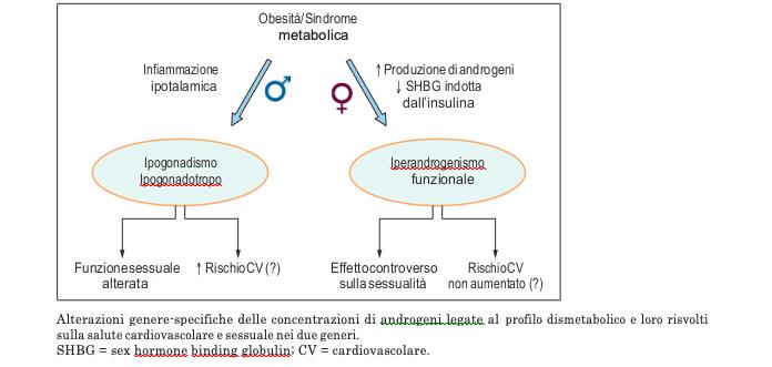 obesita rapporto auxologico