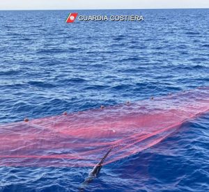 pesca illegale