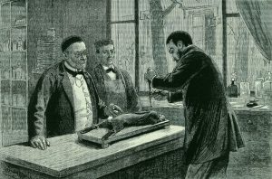 vaccino pasteur conigli