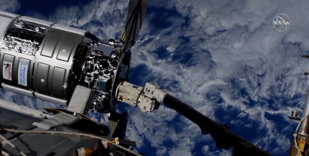 Cygnus