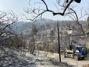Evia incendi Grecia
