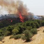 Incendi in Sicilia, pineta in fiamme a Giarratana nel Ragusano: “è l’inferno, aiutateci” [FOTO]