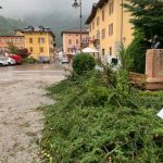 Maltempo, pioggia e grandine in Trentino: danni tra Alto Garda e Vallagarina, sradicati alberi secolari a Roncegno Terme [FOTO]