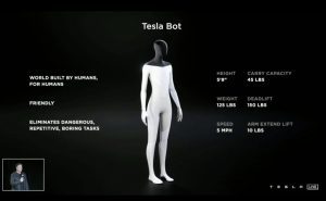 Tesla Bot