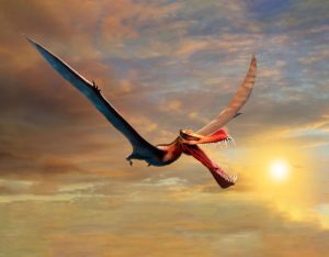 Thapunngaka shawi pterosauro