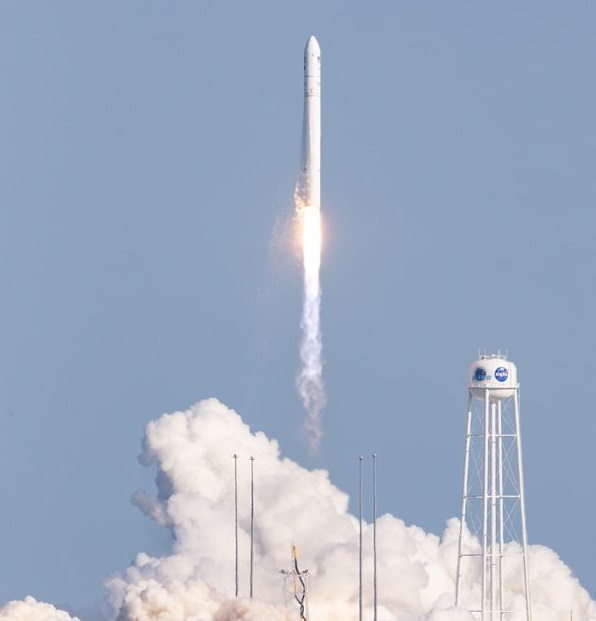 cygnus