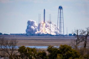 cygnus