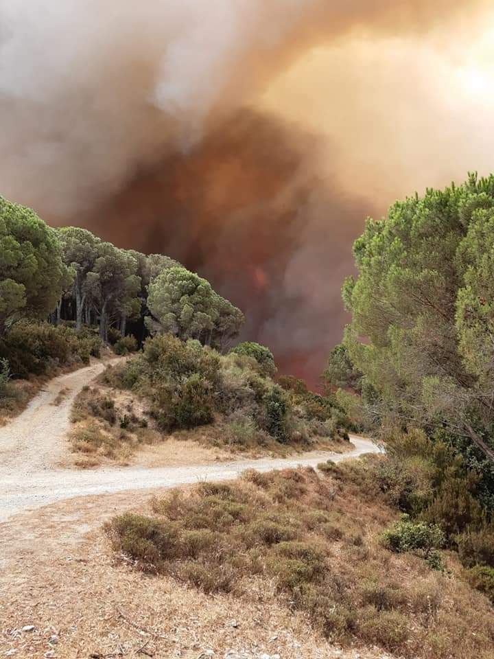 incendi Gioiosa Ionica