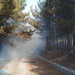 Incendi, un’altra giornata di fuoco al Sud Italia: caldo e vento alimentano i roghi appiccati da “delinquenti impuniti” [FOTO]